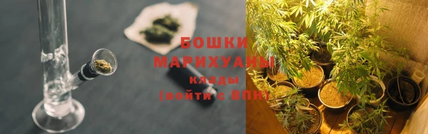 спайс Лабытнанги