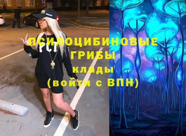 спайс Лабытнанги