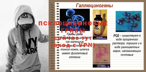 первитин Ладушкин