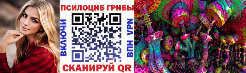 Купить где  Клинцы  Галлюциногенные грибы Psilocybe 
